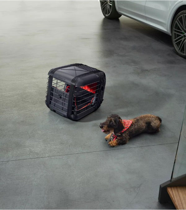 Dog cargo carrier best sale