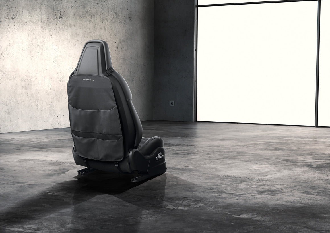 Backrest protector