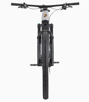 Porsche eBike Sport