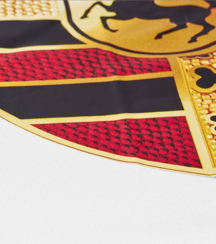 Indoor car cover - 718 Cayman (987 II)