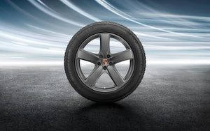 19" Sport Classic Winter Wheel and Tire Set Paint in Platinum (satin gloss) - 95B.II