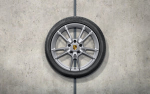 19"/20" Carrera Winter Wheel and Tire Set - 992