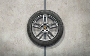 19" Panamera Winter Wheel and Tire Set - 971
