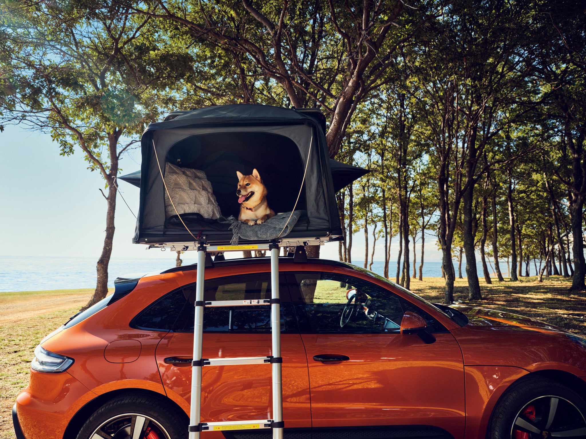 porsche macan roof tent Roof Tent